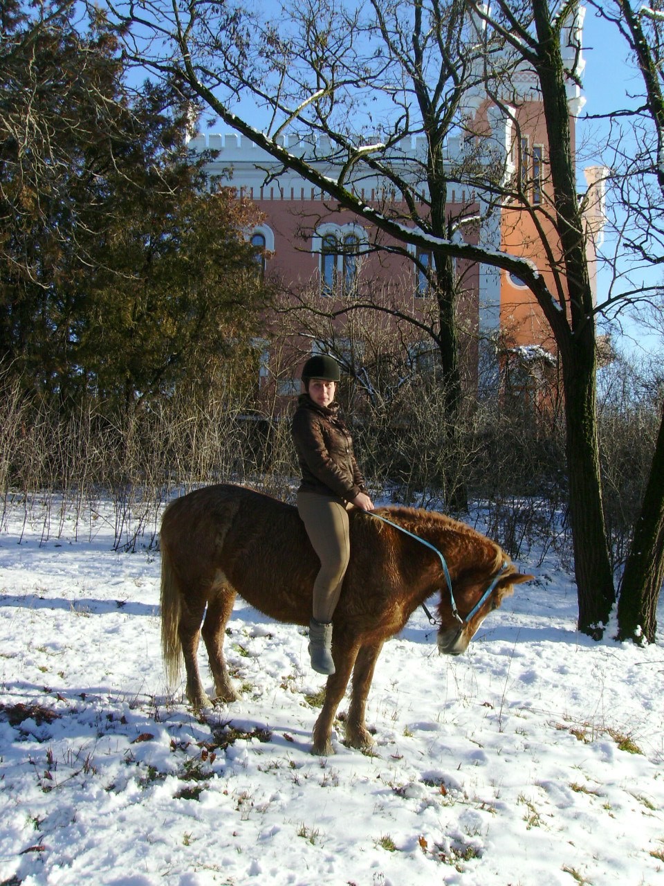 конные прогулки по горному Крыму